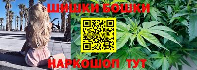 jwh Сланцы