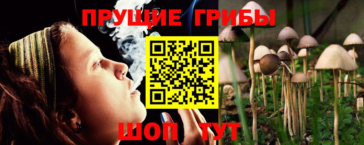 Галлюциногенные грибы Magic Shrooms  Вход с VPN  Галлюциногенные грибы MAGIC MUSHROOMS  Омск 
