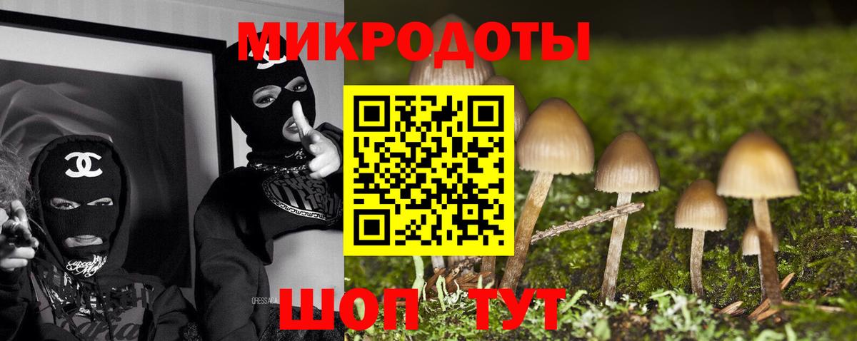 Псилоцибиновые грибы мицелий Омск
